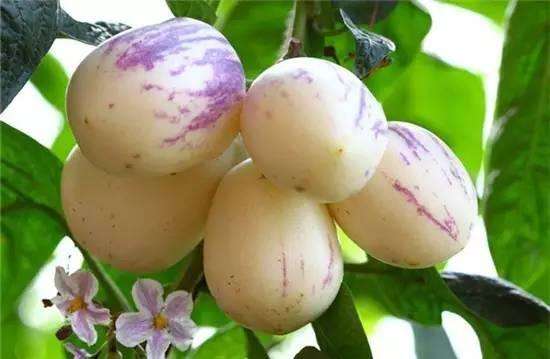 食品安全檢測(cè)儀 食品安全檢測(cè)儀