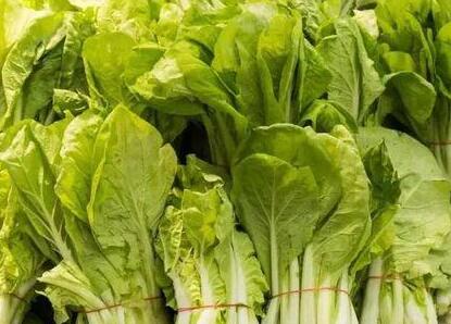 農(nóng)殘快速檢測(cè)儀