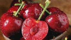 農(nóng)田科學栽培需要農(nóng)殘速測儀