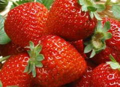 食品加工企業(yè)引進食品安全檢測儀