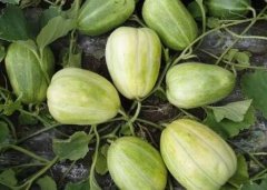 農(nóng)殘檢測(cè)需要實(shí)驗(yàn)室送檢嗎？